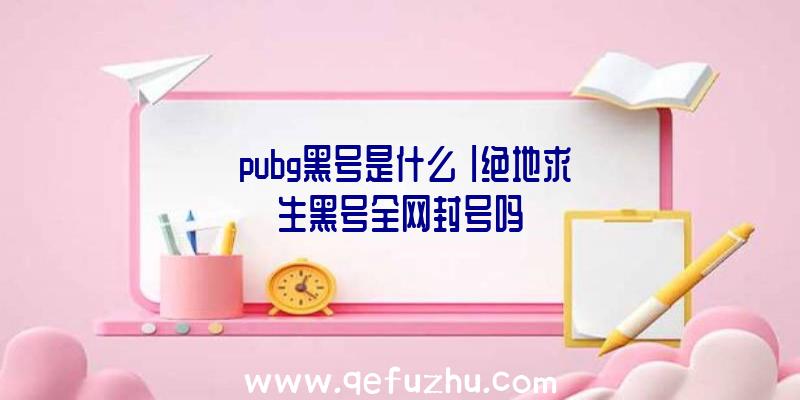 「pubg黑号是什么」|绝地求生黑号全网封号吗